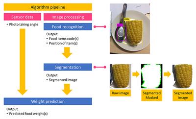 Feasibility Study of an Automated Carbohydrate Estimation System Using Thai Food Images in Comparison With Estimation by Dietitians